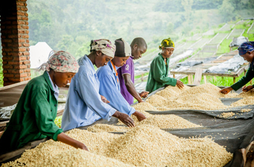 Leverage agile frameworks to provide